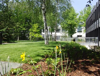 Bestandsbäume in Gartenplanung integriert.